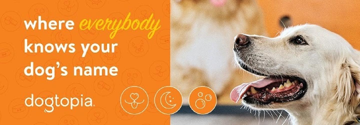 Dogtopia of Redmond cover photo