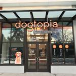 Dogtopia of Redmond - photo 6