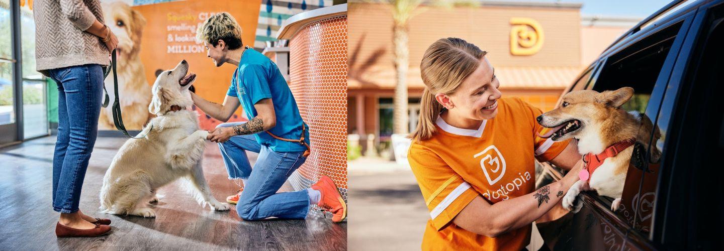 Dogtopia of Olathe cover photo