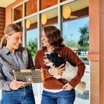 Dogtopia of Olathe - photo 6