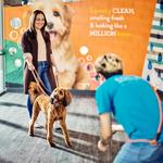 Dogtopia of Olathe - photo 8