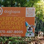 Dogtopia of Roswell - photo 6