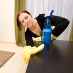Route 9 Cleaning Services - photo 8