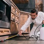 Aloha Pest and Lawn LLC - photo 1