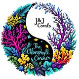 The Chlorophyll Corner - Shopping in Mesa