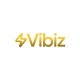 Vibiz - Software Development in Miami