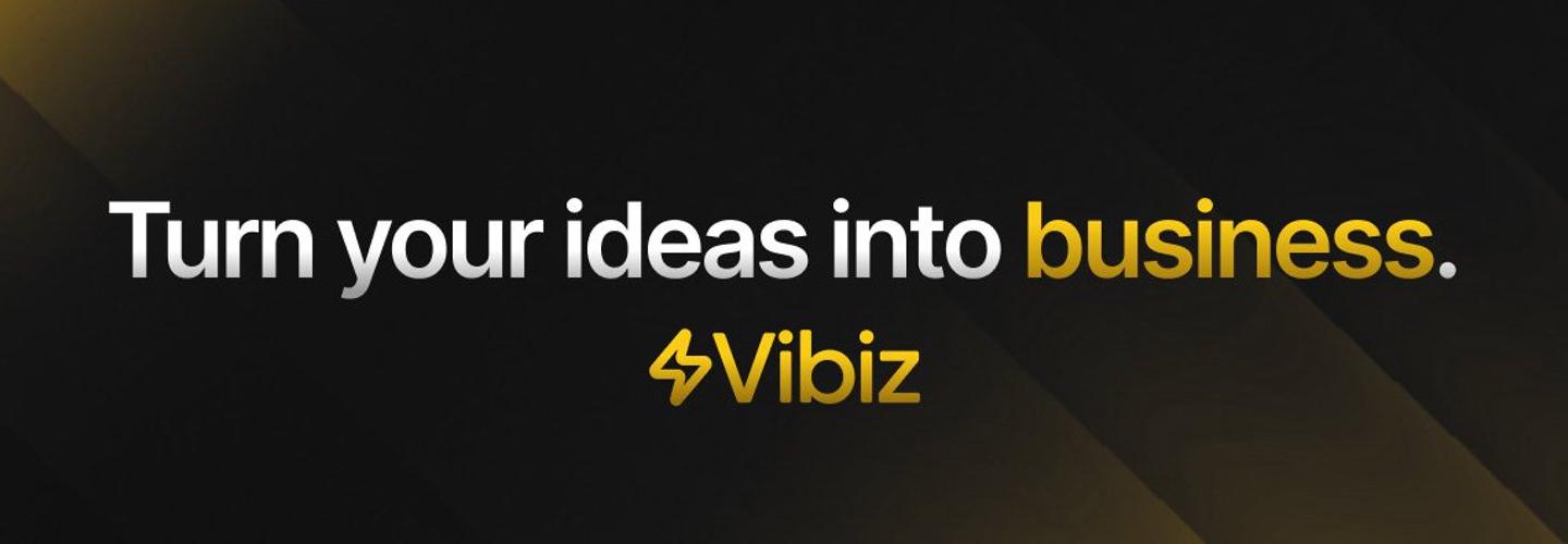 Vibiz cover photo