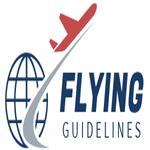 flyinguidelines - photo 1