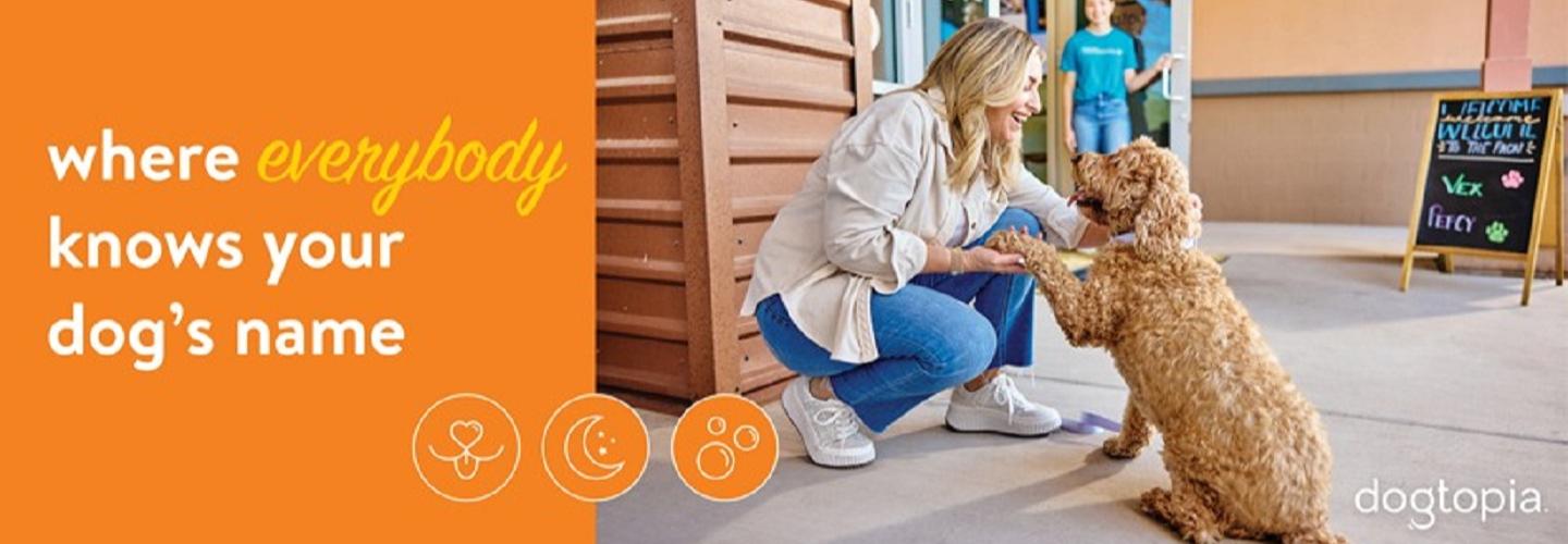 Dogtopia of Round Rock cover photo