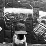 Dogtopia of Round Rock - photo 7