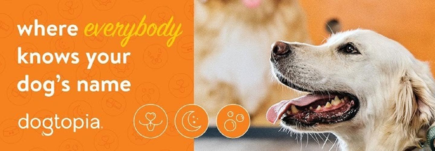 Dogtopia of Oro Valley cover photo