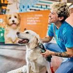 Dogtopia of Oro Valley - photo 7