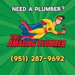 The Amazing Plumber - photo 2