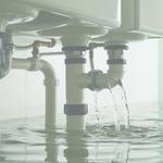 Waterstone Insolvency- Auckland - photo 4