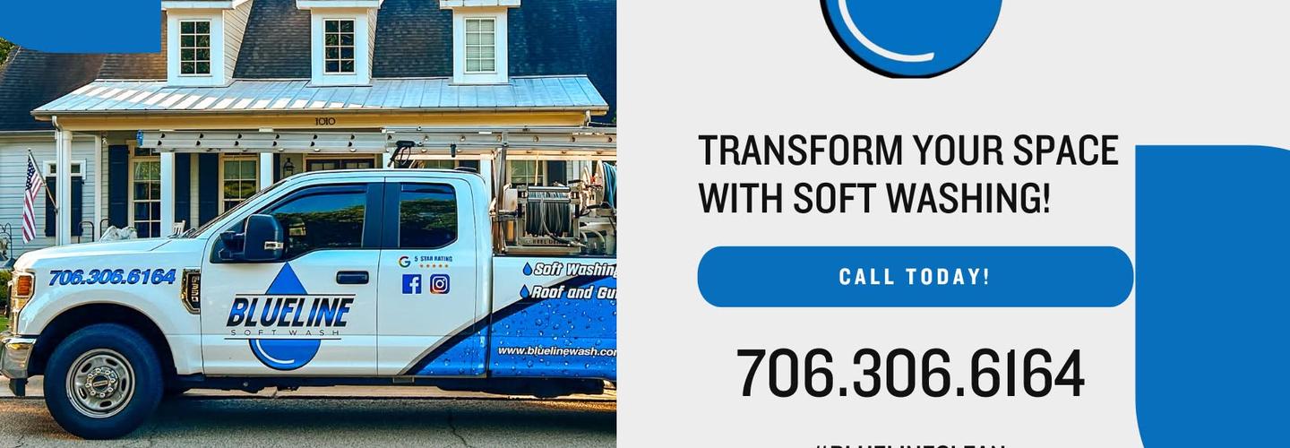 Blueline Soft Wash cover photo