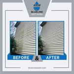 Blueline Soft Wash - photo 6