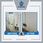 Blueline Soft Wash - photo 7