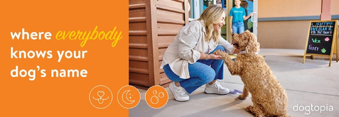 Dogtopia of Owings Mills cover photo