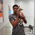 Dogtopia of Owings Mills - photo 1