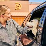 Dogtopia of Overland Park - photo 10