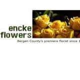 Encke Flowers - Florists in Bogota