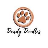 Our Doodle Dogs - Pets in Ocala
