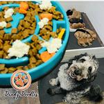 Our Doodle Dogs - photo 1