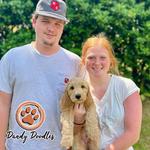 Our Doodle Dogs - photo 2