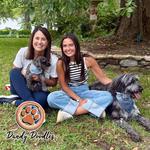 Our Doodle Dogs - photo 3