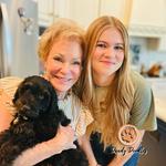 Our Doodle Dogs - photo 4