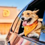 Dogtopia of Orlando- Winter Park - photo 1