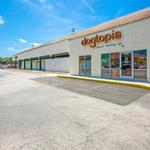 Dogtopia of Orlando- Winter Park - photo 4