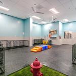 Dogtopia of Orlando- Winter Park - photo 9