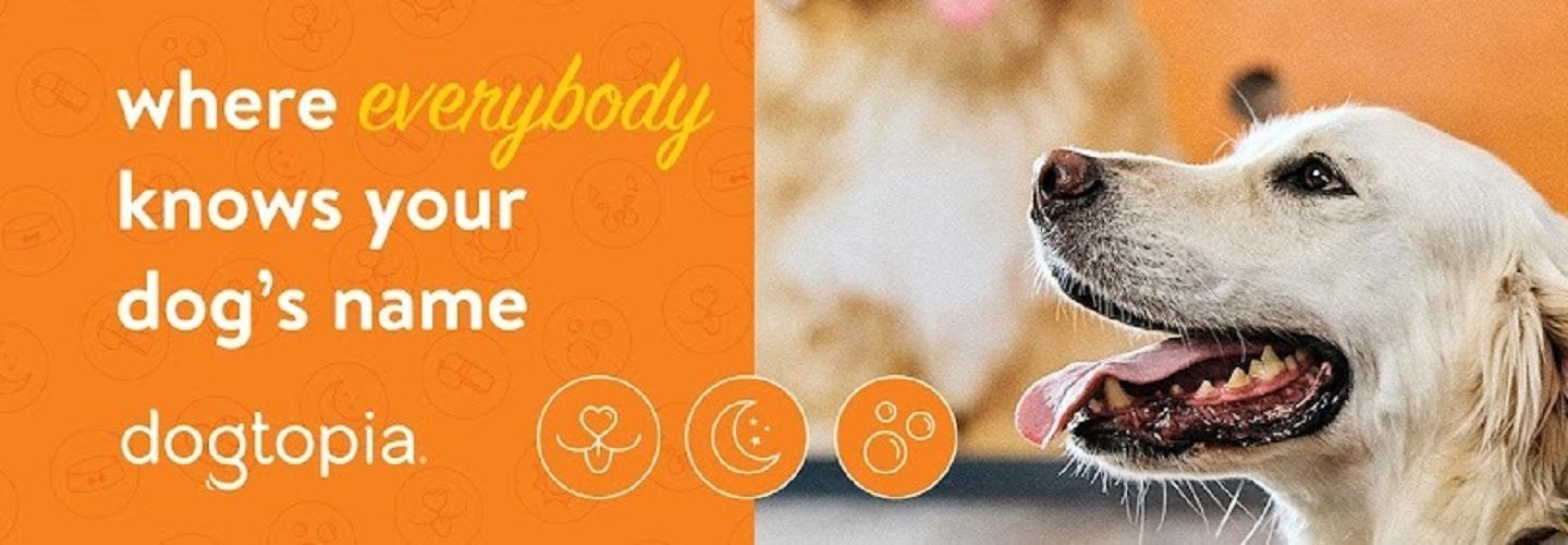Dogtopia of Orlando- Winter Park cover photo