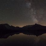 The Cozy Curator - photo 1