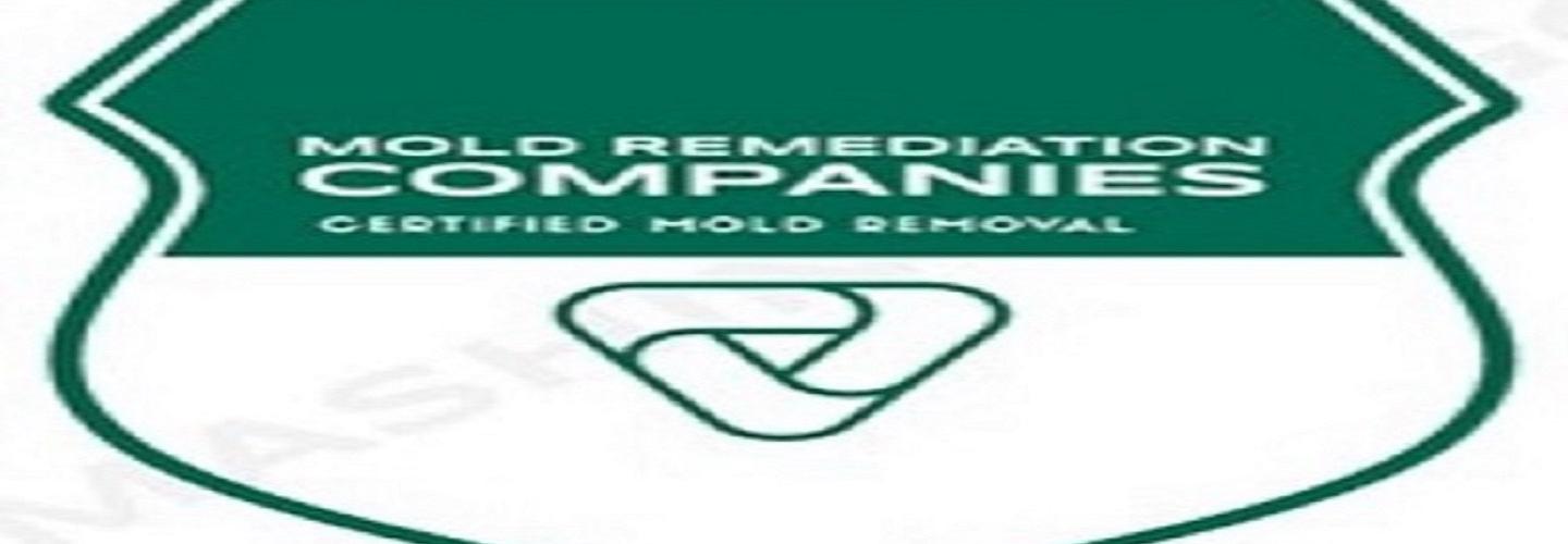 Caldwell Mold Remediation Pros cover photo