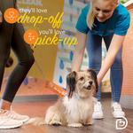 Dogtopia of Sacramento Nimbus Winery - photo 10