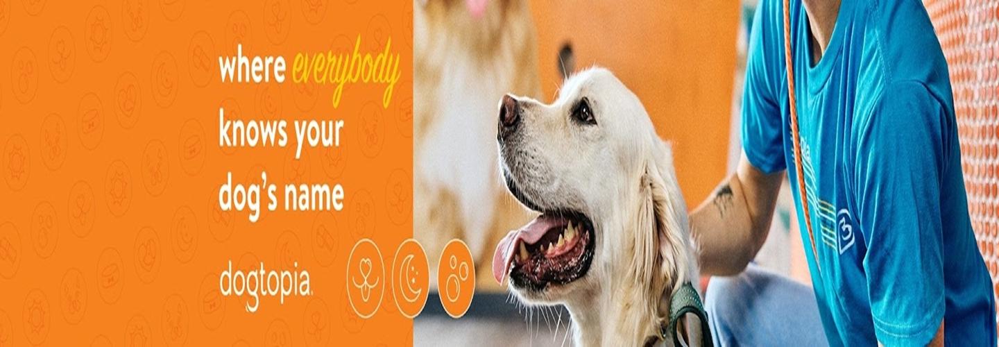 Dogtopia of Shrewsbury cover photo