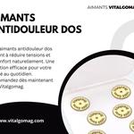 Aimants Vitalgomag - photo 1