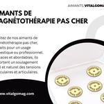 Aimants Vitalgomag - photo 2