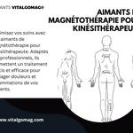 Aimants Vitalgomag - photo 3