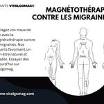 Aimants Vitalgomag - photo 8