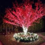 Midas Holiday Lighting - photo 1
