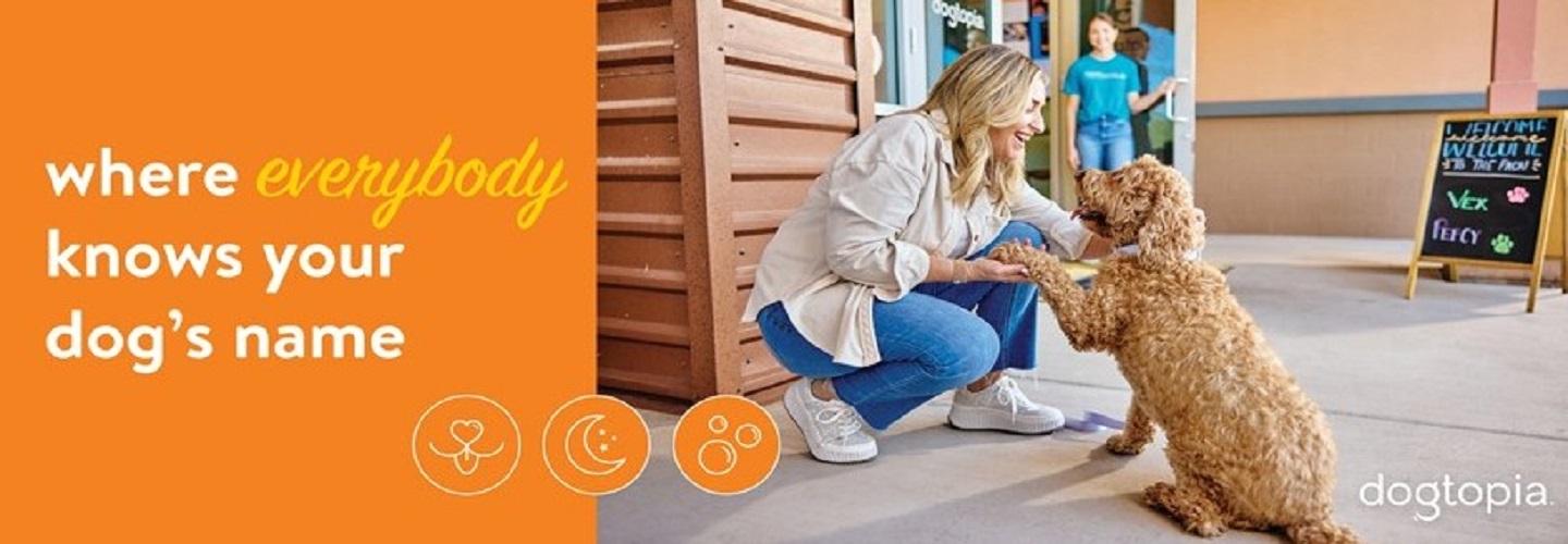 Dogtopia of Southlake cover photo