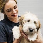 Dogtopia of Southlake - photo 4