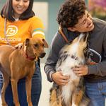 Dogtopia of Southlake - photo 7