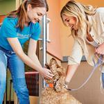 Dogtopia of Southlake - photo 8