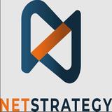 Net Strategy - Professional Services in Lyon