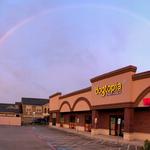 Dogtopia of The Woodlands North - photo 3