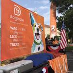 Dogtopia of The Woodlands North - photo 5